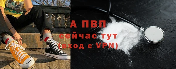 ГАЛЛЮЦИНОГЕННЫЕ ГРИБЫ Калач