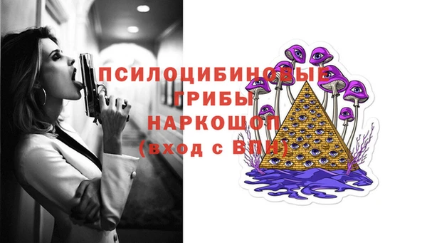 spice Армянск