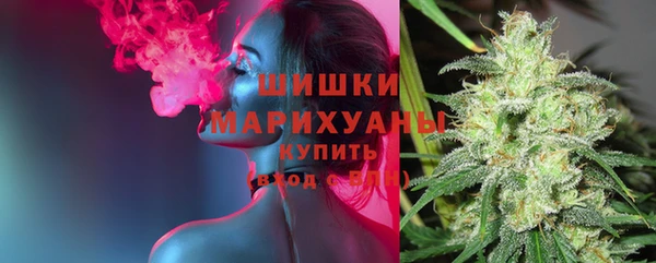 ГАЛЛЮЦИНОГЕННЫЕ ГРИБЫ Калач