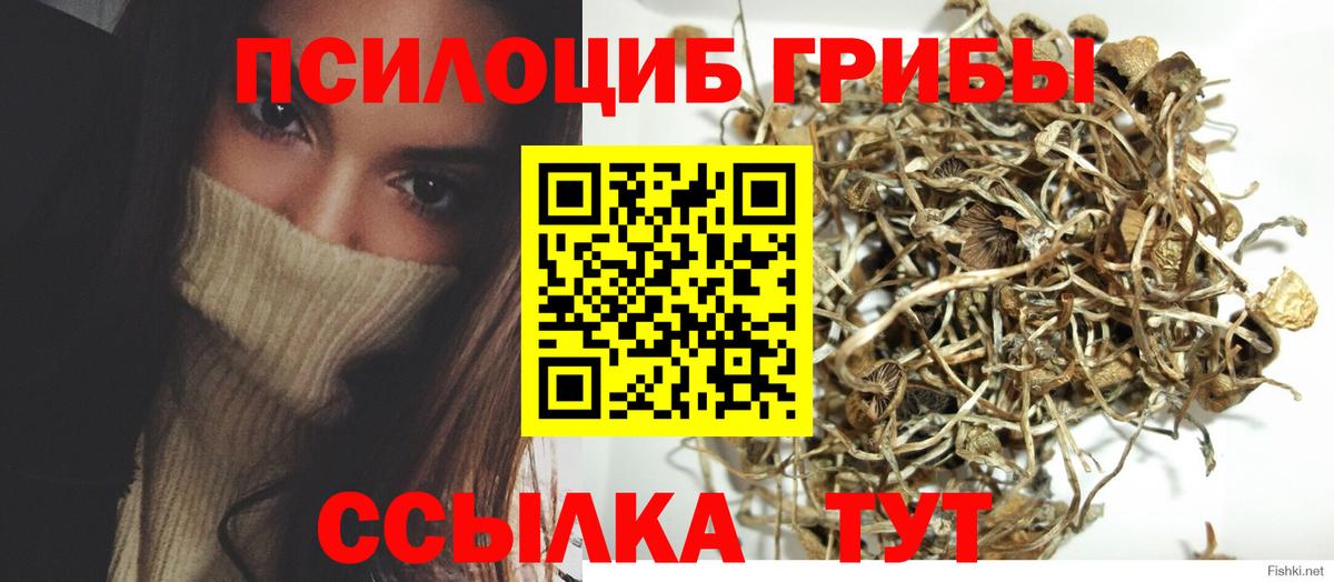 Дюртюли  Галлюциногенные грибы Psilocybe  Вход с VPN 